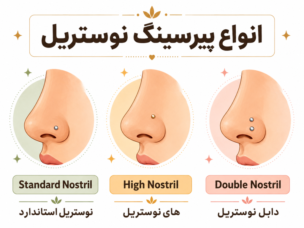 انیمیشن مقایسه انواع پیرسینگ بینی، نوستریل، های نوستریل و دابل نوستریل با لیبل واضح