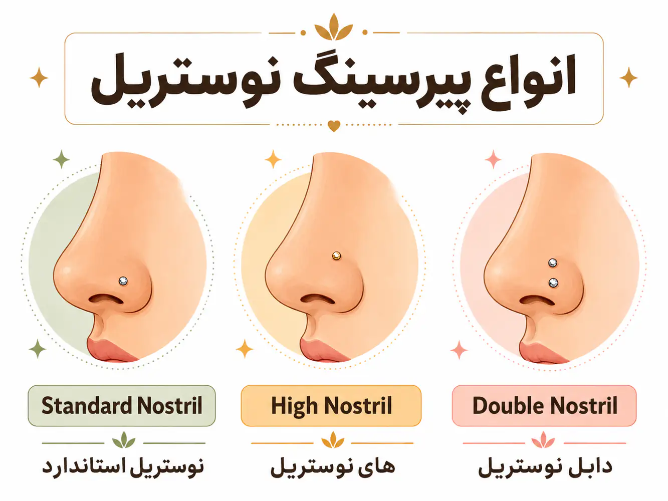 انیمیشن مقایسه انواع پیرسینگ بینی، نوستریل، های نوستریل و دابل نوستریل با لیبل واضح
