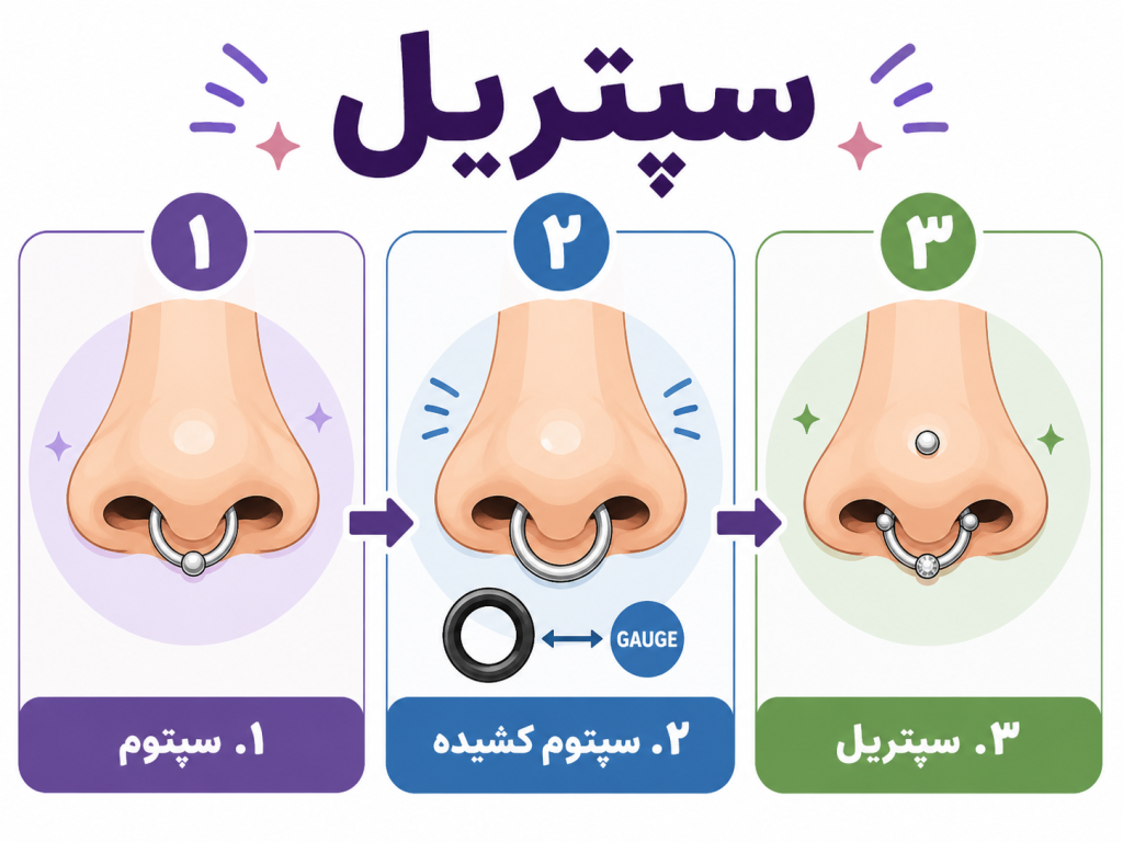 انیمیشن مراحل سپترال پیرسینگ؛ سه مرحلهی کشیدن سپتوم و سپس پیرسینگ نهایی با فلش و برچسبهای ساده