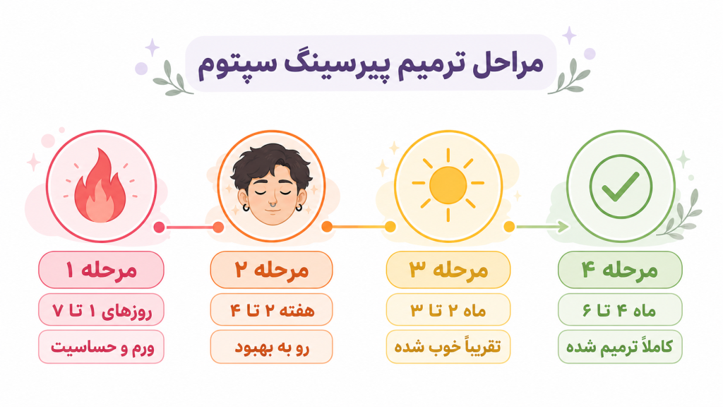 اینفوگرافیک انیمیشنی از مراحل بهبود پیرسینگ سپتوم از روز اول تا ماه ششم با عبارتهای کوتاه و رنگبندی واضح اسم