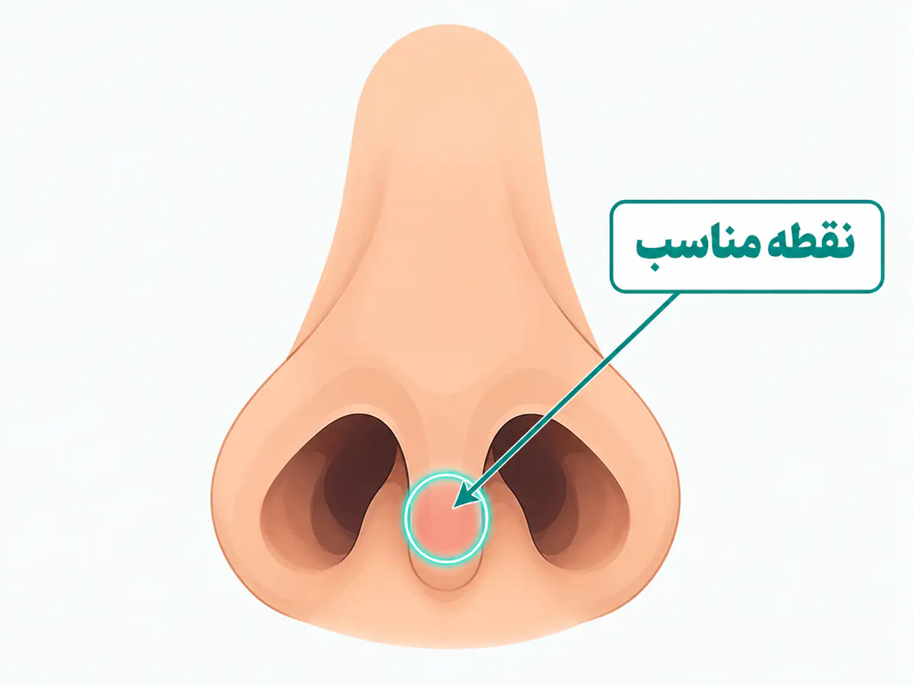 ناحیه سپتوم بینی با نشانه‌گذاری «sweet spot» محل پیرسینگ