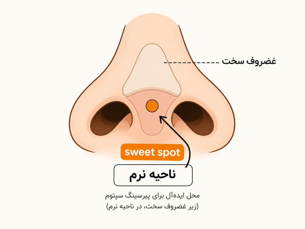 محل sweet spot برای پیرسینگ سپتوم