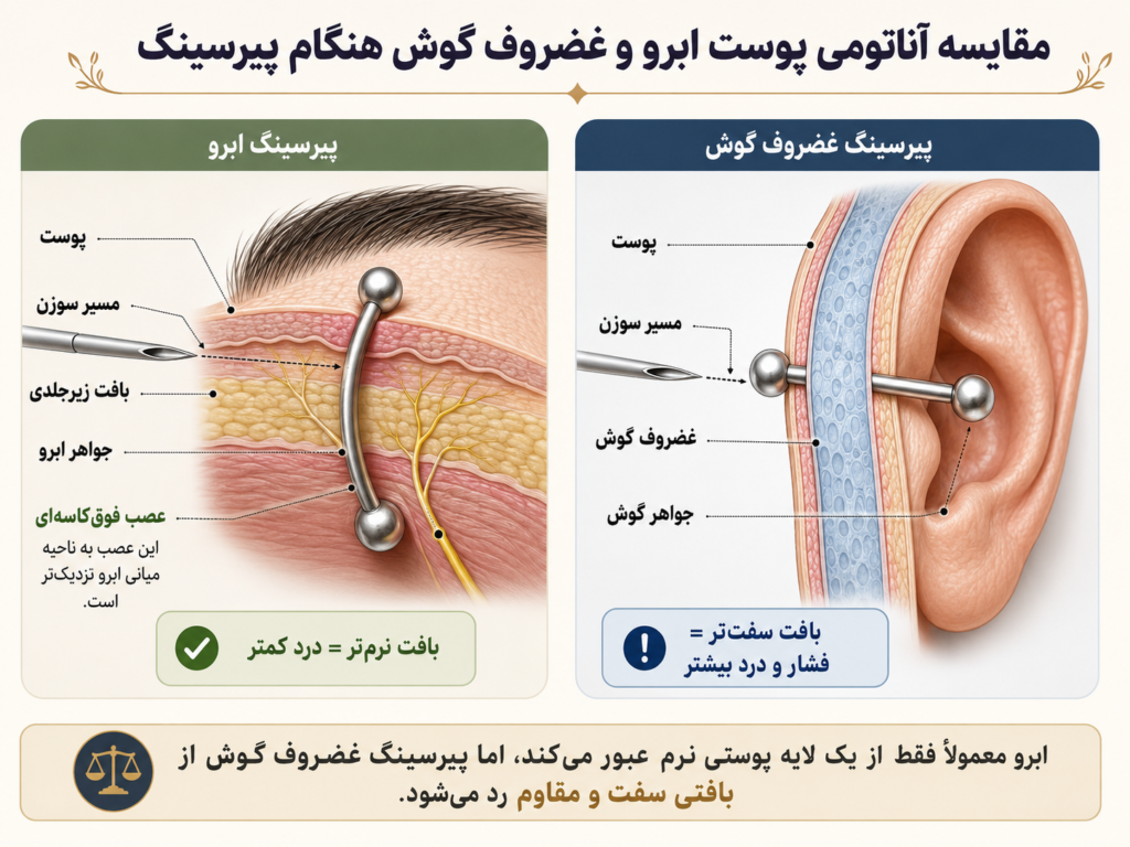 مقایسه آناتومی پوست ابرو و غضروف گوش هنگام پیرسینگ