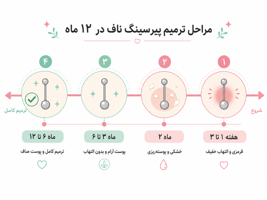 نمودار مراحل زمانی التیام پیرسینگ ناف از هفته اول تا یک سال