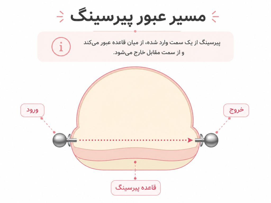 مایش آموزشی مسیر عبور پیرسینگ نیپل از قاعده نوک سینه