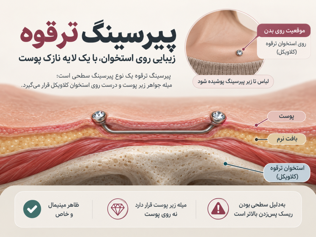 محل دقیق پیرسینگ ترقوه روی استخوان کلاویکل در آناتومی