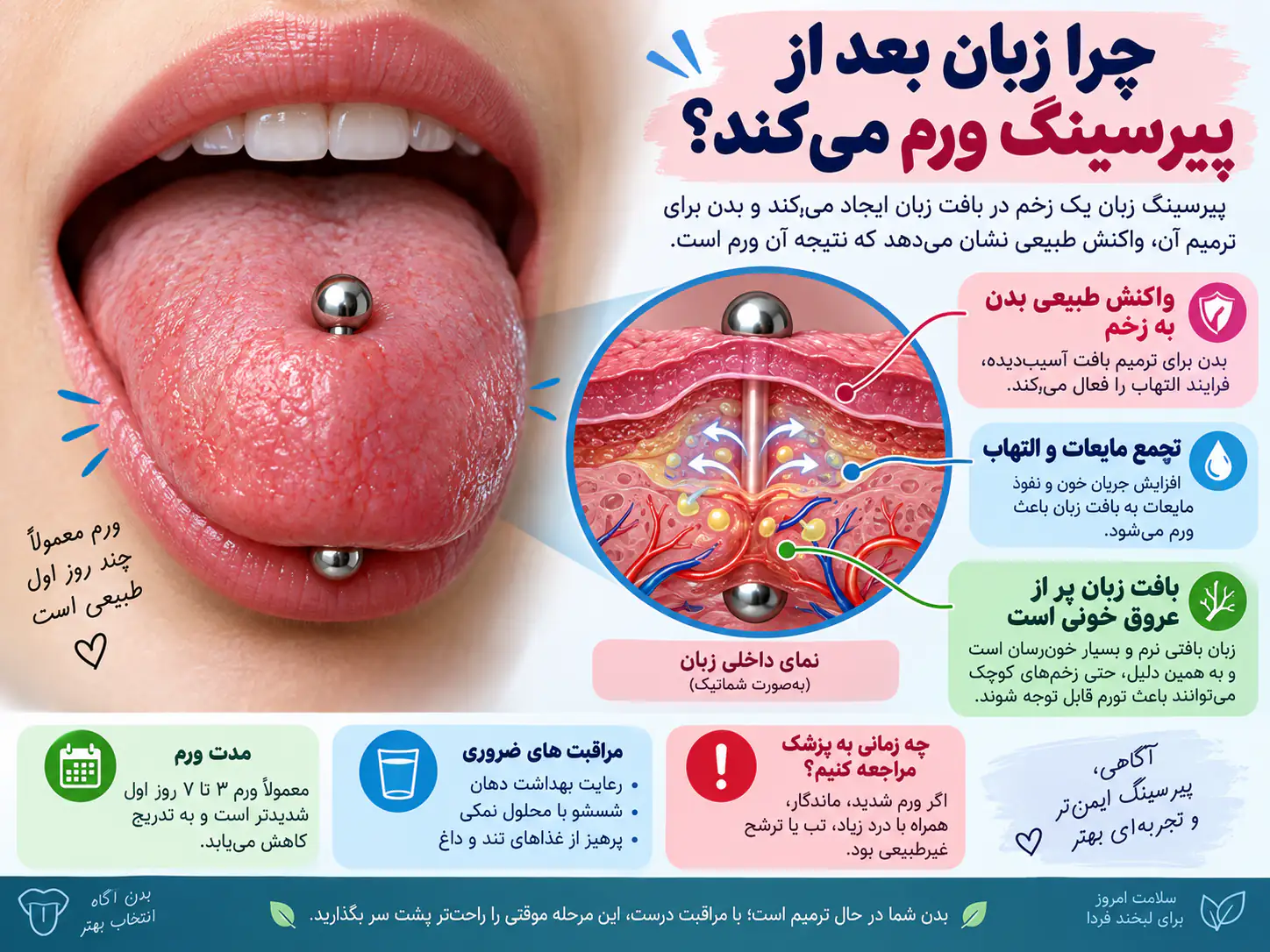 برش نمایی از زبان انسان که تورم پس از پیرسینگ را در چند لایه بافت نشان می‌دهد