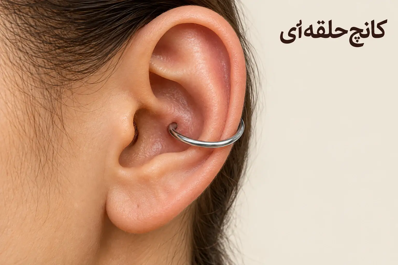 حلقه کانچ که از کاسه غضروفی گوش عبور می کند و دور لبه بیرونی قرار می گیرد