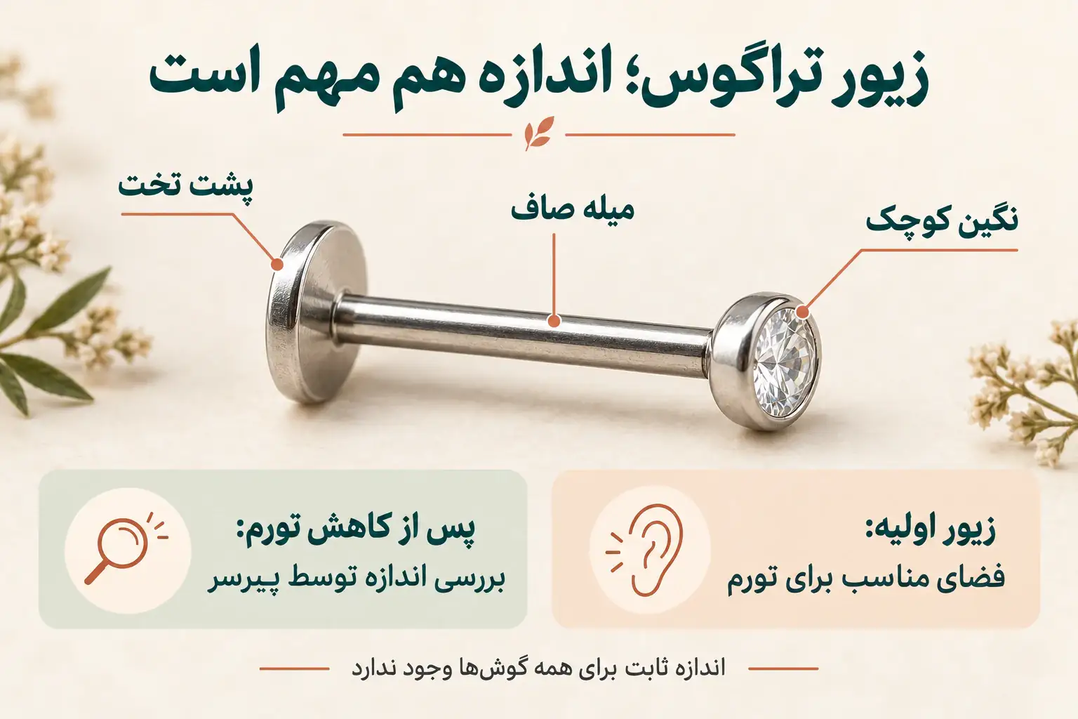 اجزای لابرت پشت تخت و اهمیت تناسب طول میله با گوش و تورم