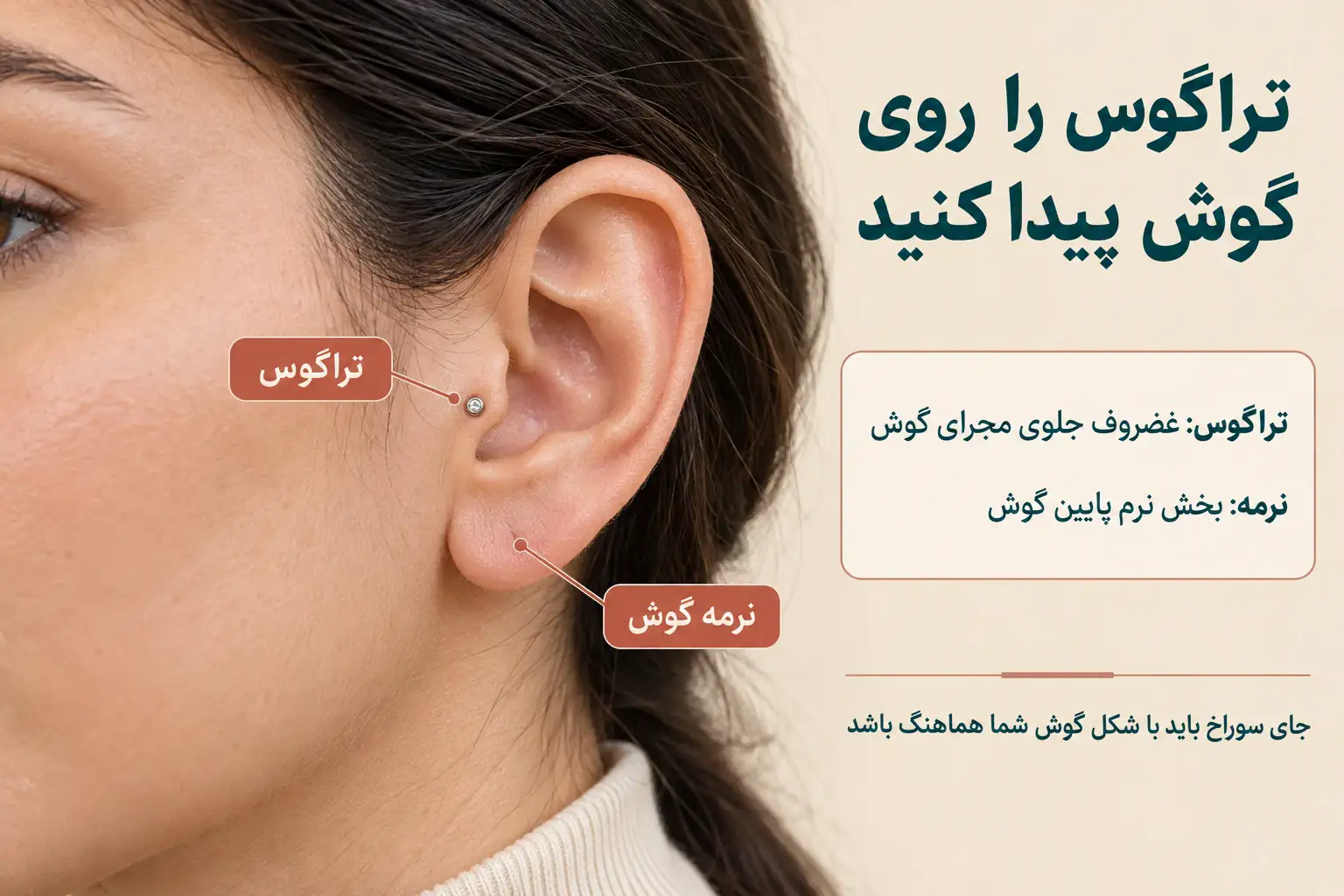 محل دقیق تراگوس در جلوی مجرای گوش و تفاوت آن با نرمه گوش
